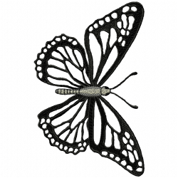 Butterfly Embroidery Design 12 Butterfly Embroidery Design 12